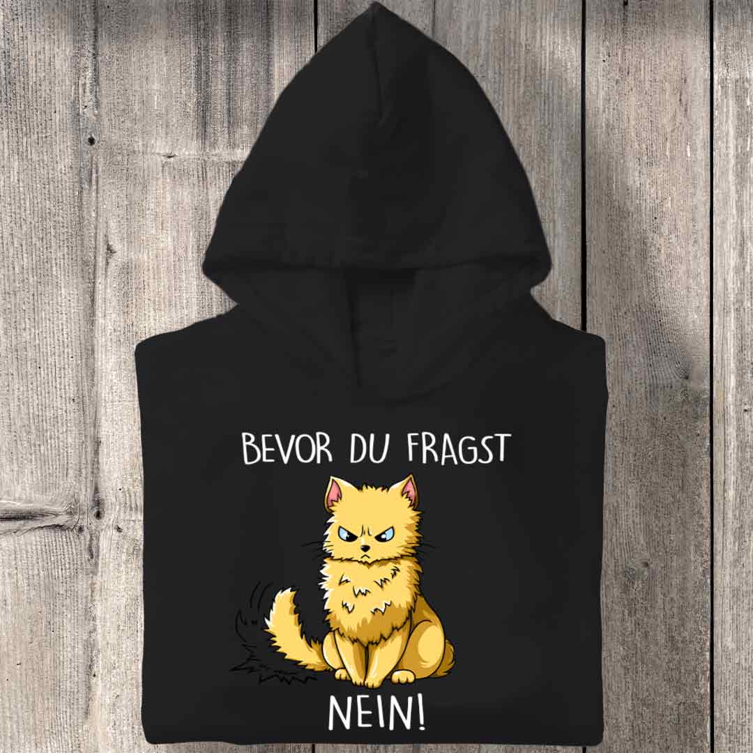 Fragen Katze 2 - Hoodie Unisex