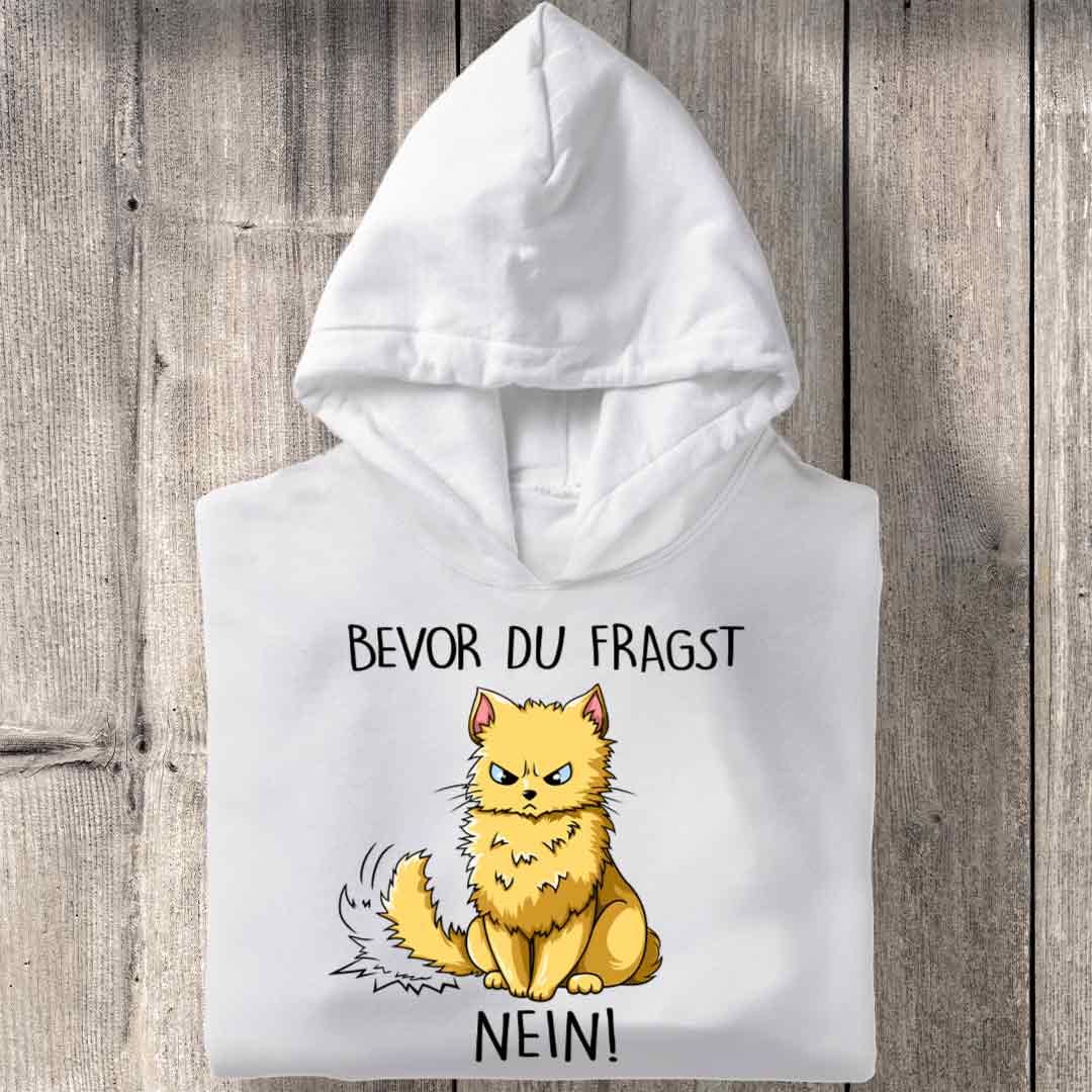 Fragen Katze 2 - Hoodie Unisex