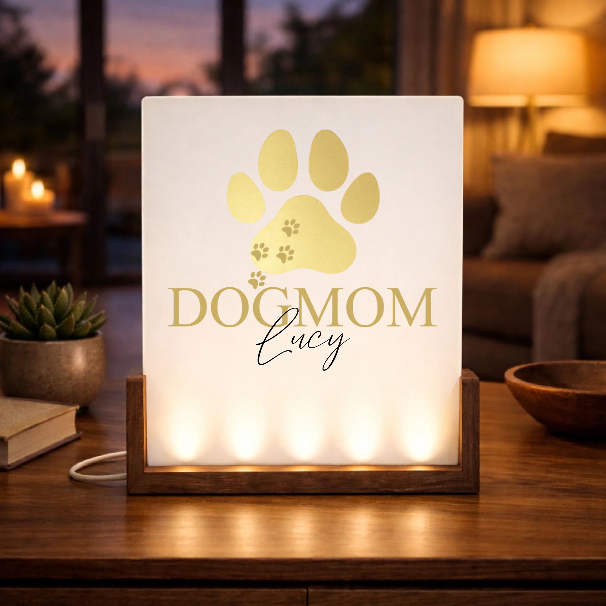 Kollektionen 1zu1 Daniel (4)