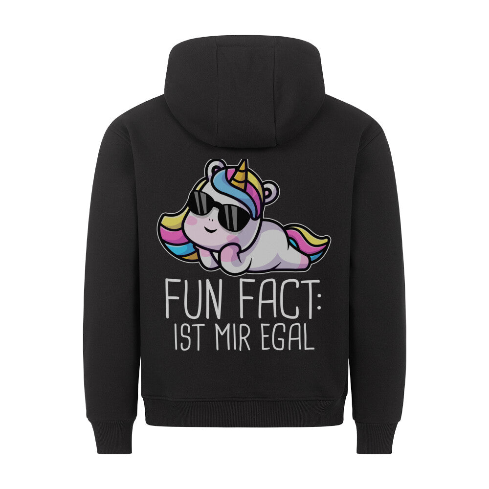 Fun Fact Einhorn - Hoodie Unisex Rückendruck